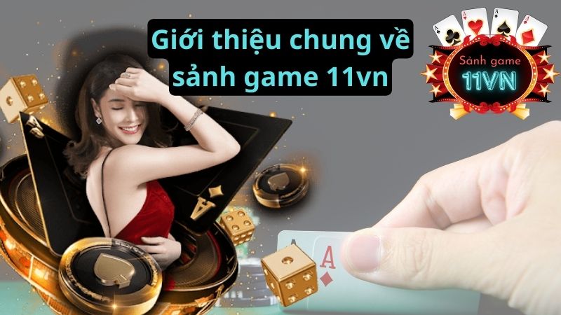 Giới thiệu chung về nhà cái 88vn